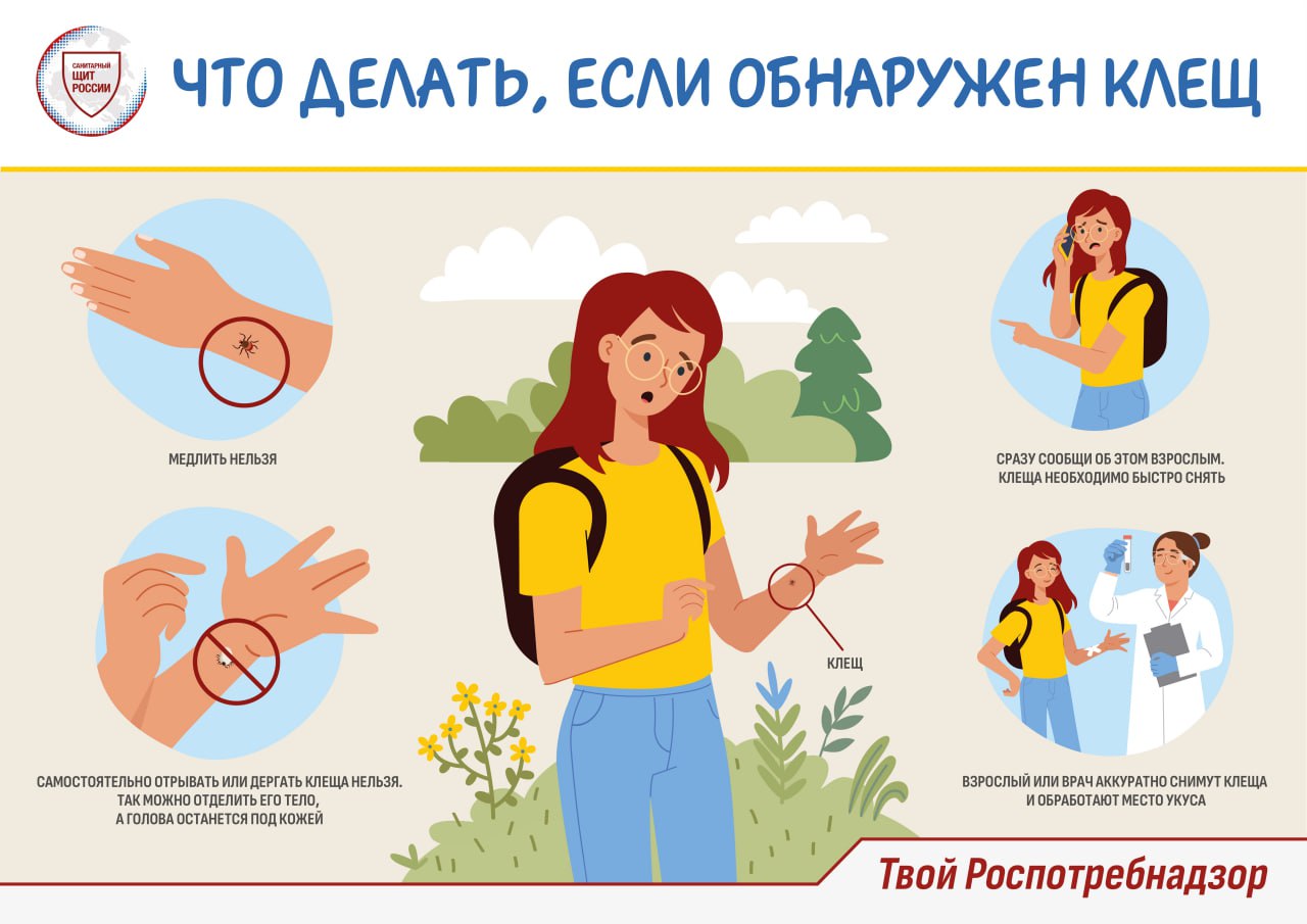 Что делать, если обнаружен клещ.